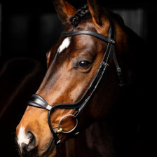 LeMieux Arika Adjustable Anatomic Noseband Bridle - Lifestyle