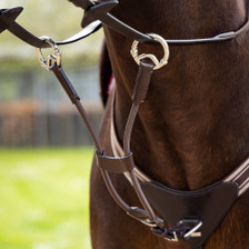LeMieux Elasticated Martingale Attachment - Brown/Silver