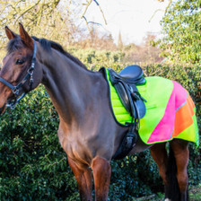 Hy Equestrian Reflector Quarter Mesh Exercise Sheet in Yellow/Orange/Pink - Lifestyle