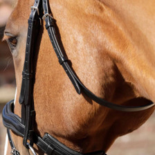 Premier Equine Throatlash in Black - Lifestyle