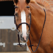 Premier Equine Altare Web Reins in Brown - Lifestyle