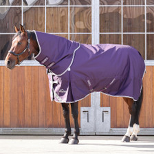 Highlander Turnout Rug and Neck Set 100g - Plum - Full View