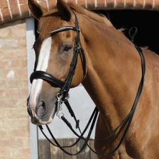 Premier Equine Luigi Plain Leather Reins in Black - Lifestyle