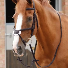 Premier Equine Domenico Web and Rubber Grip Reins in Brown - Lifestyle