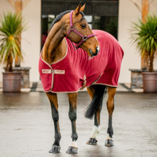 Horseware Amigo Fleece Cooler Rug - Mulberry
