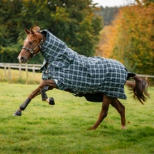 Horseware Rhino Plus Turnout Rug 100g - Hunter Check/Green/Navy