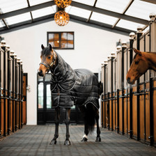 Horseware Easy-Layer Stable Rug Plus 200g - Lifestyle