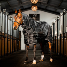 Horseware Easy-Layer Stable Rug Plus 400g - Lifestyle