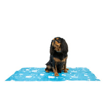 Ancol Ice Paws Cooling Dog Mat