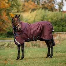 Horseware Amigo Bravo 12 Plus Turnout Rug 100g - Burgundy/Navy/Titanium Grey
