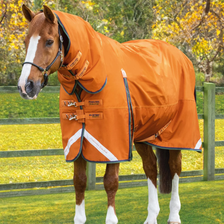 Premier Equine Buster Storm Combo Turnout Rug with Classic Neck Cover 400g in Burnt Orange - lifestyle