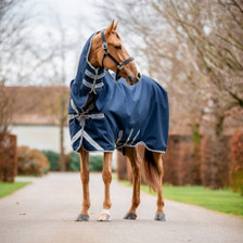 Horseware Amigo 1200D Integrated Neck Turnout 250g - in Navy/Titanium Grey/Silver