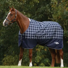 Saxon Defiant 600D Standard Neck Turnout Rug 0g