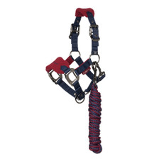 Mini LeMieux Vogue Head Collar & Lead Rope