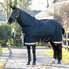 LeMieux Arika Storm-Tek Turnout Rug 100g - Lifestyle