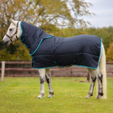 Horseware Amigo Insulator Pony Plus Stable Rug 200g - Navy/Electric Blue/Navy