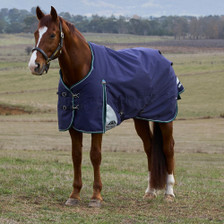 Navy WeatherBeeta Comfitec Plus Dynamic Standard Turnout Rug 100g