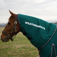 WeatherBeeta ComFiTec Plus Dynamic Turnout Standard Neck Cover 0g In Forest Green