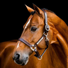 Horseware Signature Leather Headcollar - Brown