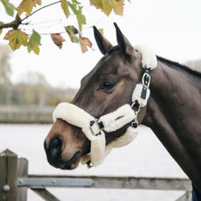 Kentucky Horsewear Sheepskin Headcollar in Natural - Lifestyle