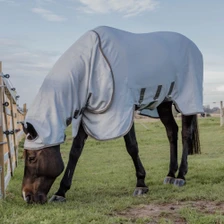Kentucky Horsewear Sweet Itch Rug with Hood in Grey - Lifestyle