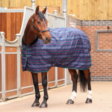 Tempest Plus Stable Rug 100g