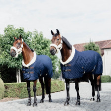 Kentucky Horsewear Show Rug 160g