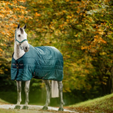 Horseware Amigo Ripstop Insulator Stable Rug 50g - Dynasty Green