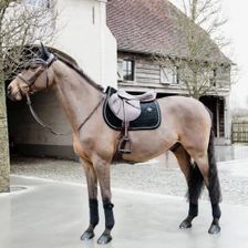 Kentucky Horsewear Basic Velvet Show Jumping Saddle Pad - Black