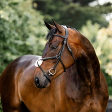 Horseware Figure 8 Grackle Bridle - Black