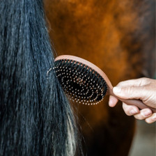 Horseware Mane & Tail Brush
