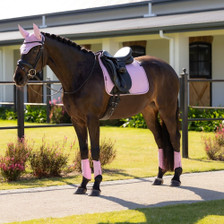 LeMieux Essence Dressage Saddle Pad in Fondant - Lifestyle