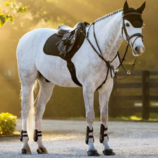 LeMieux Brilliance Close Contact Saddle Pad - Black Lifestyle