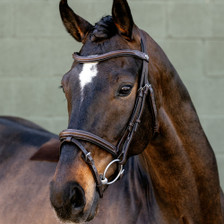 LeMieux Arika Flash Bridle - Brown