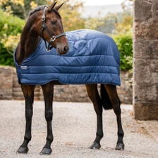 Horseware Liner 50g