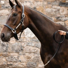 Horseware Signature Leadrope With Chain - Black