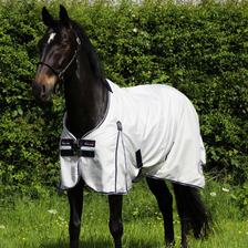 Premier Equine Cotone Original Stable Sheet
