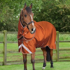 Premier Equine Stratus 600D Series Turnout Rug with Classic Neck Cover 200g