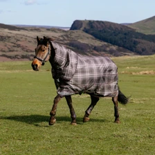 LeMieux Arika Check Turnout Rug 200g in Cocoa - Lifestyle
