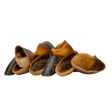 Digby & Fox Buffalo Hoof