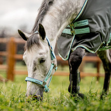 Horseware Field Safe Headcollar - Blue Haze