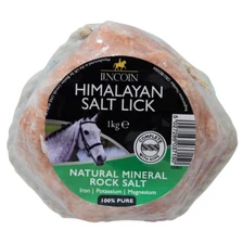 Lincoln Himalayan Salt Lick