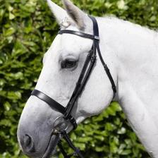Premier Equine Hunter Bridle - Black - Lifestyle