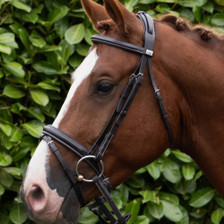 Premier Equine Pro Elevator Bridle - Dark Havana - Lifestyle