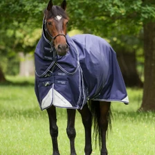 Premier Equine Akoni Turnout Rug with Classic Neck Cover 100g - Navy