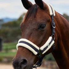 Navy Dublin Soft Fit Headcollar