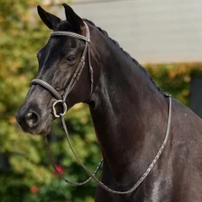 Dublin Padded Mono Crown Fancy Stitch Hunt Bridle