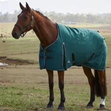 Weatherbeeta Comfitec Classic 220g Turnout Rug