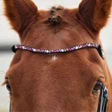 Dublin Ombre Diamante Browband - Pink Black on horse