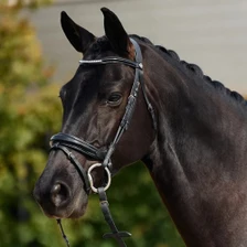 Dublin Padded Mono Crown Patent Flash Bridle - Black